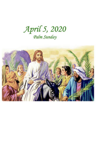 The Promised King Enters Jerusalem – Palm Sunday