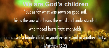 8th Sunday After Pentecost – We Are God’s Children