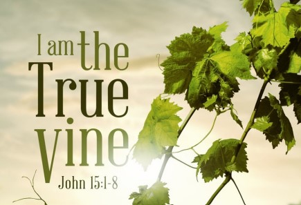 Jesus Is the Vine! We Are the Branches.